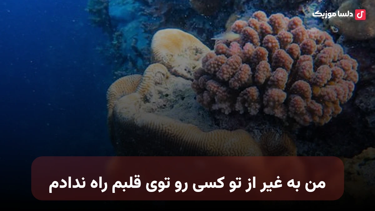 من به غیر از تو کسی رو توی قلبم راه ندادم صدای زن